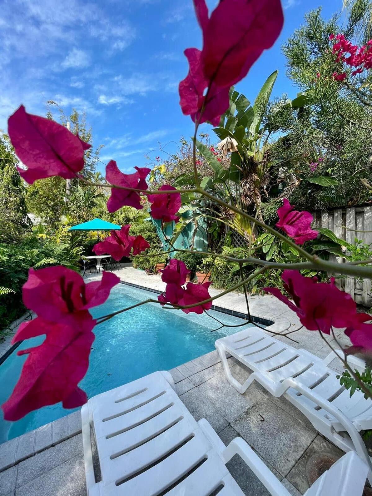 Delight And Cozy Apt Close To Las Olas & The Beach Villa Fort Lauderdale Buitenkant foto